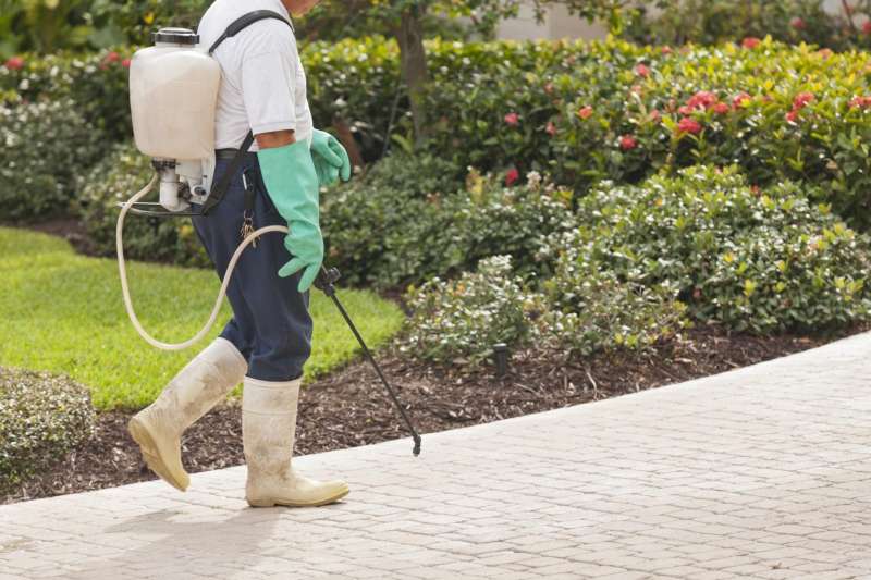 Gopher and Mole Control